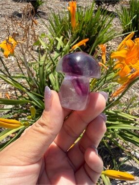 Small Natural Fluorite Mushroom Carving,Hand Carved Crystal Mushroom,A552